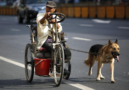 Man's best friend