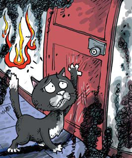 Pet cat saves woman from turning into ash