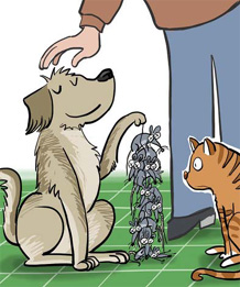 Ferocious stray dog spells terror for mice