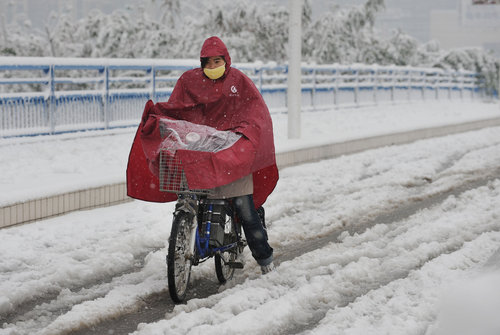 Life in snowfall