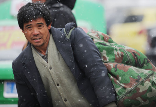 Life in snowfall