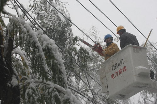 Life in snowfall