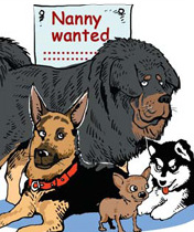Wanted: Bachelor with no life to look after 14 dogs