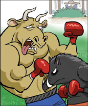 150-kg wild boar attacks, kills farmer's Ox