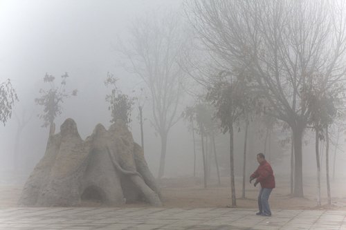 Fog disrupts traffic in Chinese provinces
