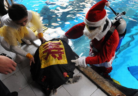 Giant sea turtle performs to meet the Christmas Day