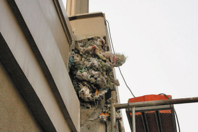 Waste used to fill crack in bridge