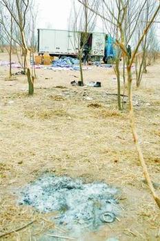 Film crew expelled for damaging nature