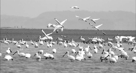 Lake zone to be 'green' model