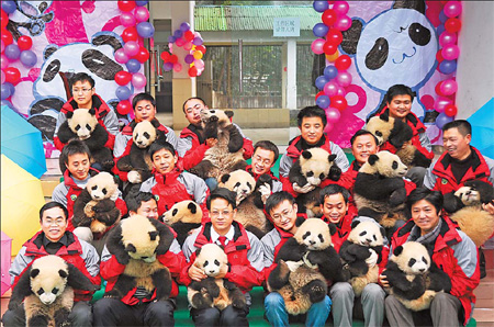 Post-quake panda cubs move into nursery