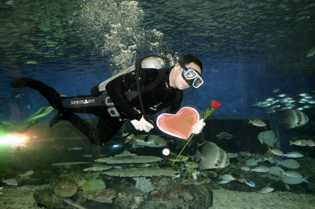 Valentine's Day marked around the world