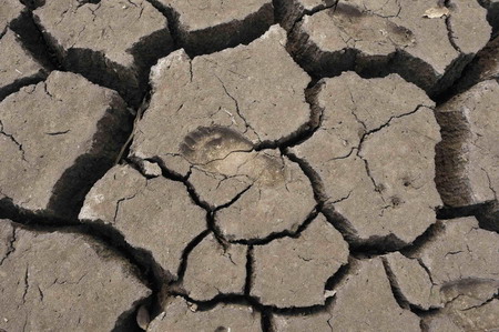 Latest updates on SW China drought