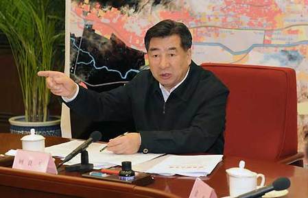 Significant progress made in quake relief: Chinese VP