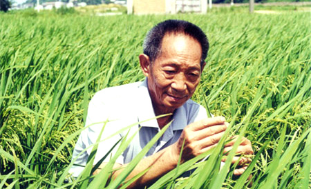 Father of hybrid rice named China's richest soul