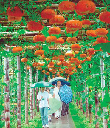 Zhejiang: Grounded in sustainability