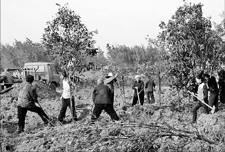 Farmland taken from villagers 'for games'