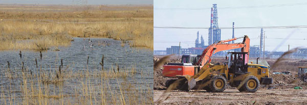 Polluting firms pose big threat to wetlands