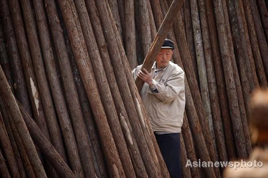 China cuts timber production to protect forest