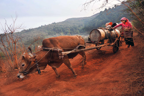 Drought leaves millions in short of food