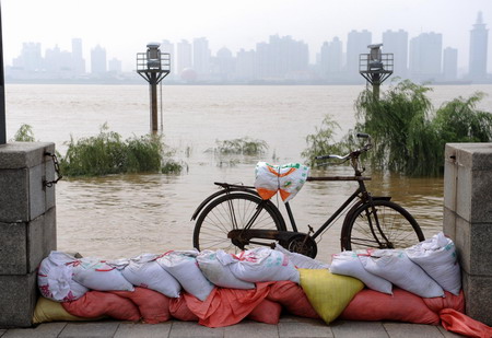 Workers begin shoring up breached river dikes in E China