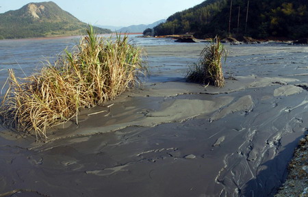 Mine pollution ravages farmland