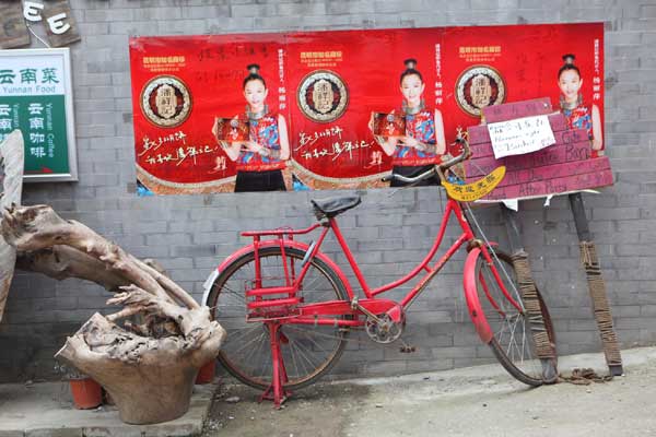 Cycle of misery on congested roads