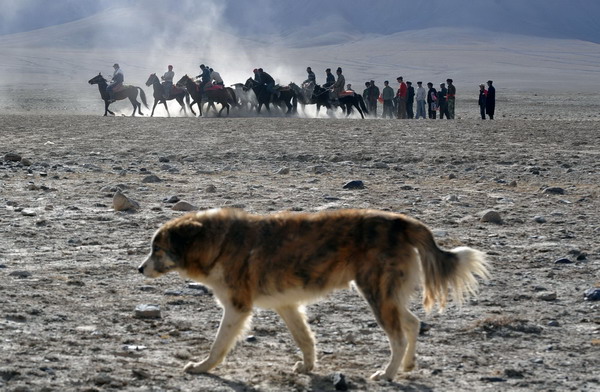 In Tajik wedding, herdsmen vie for the goat