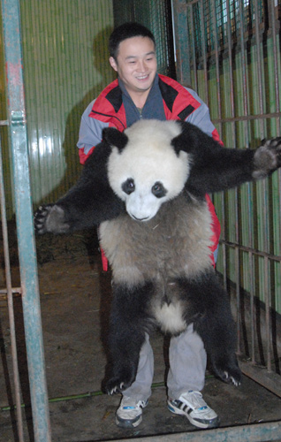 Panda power arrives in time for Asian Games