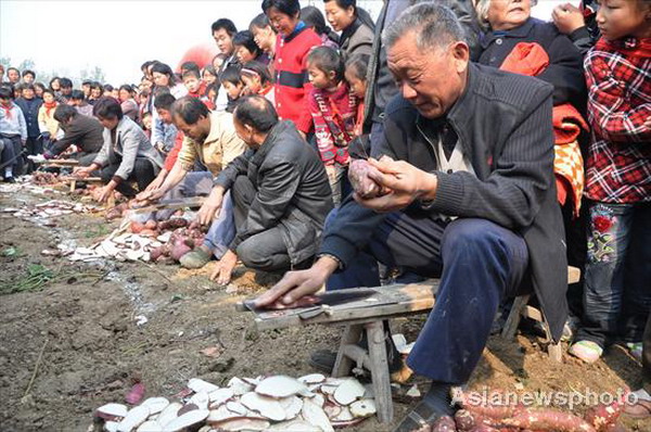 Sweet potatoes bring profit and fun to village