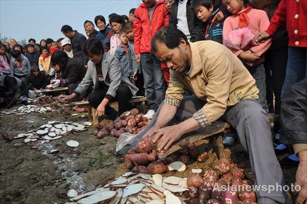 Sweet potatoes bring profit and fun to village