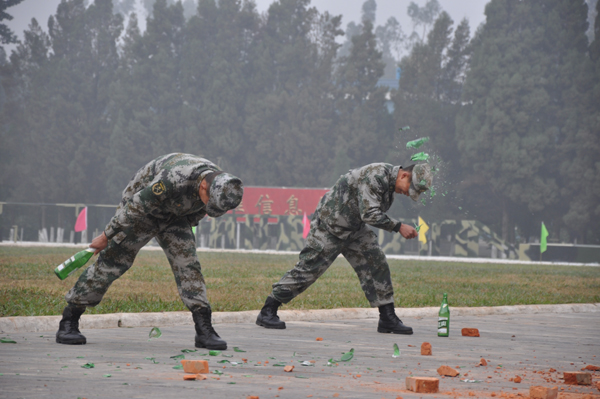 'Friendship Action 2010' kicks off in Kunming