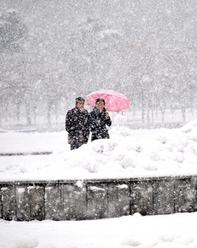 Blizzards halt roads, airports in NE China