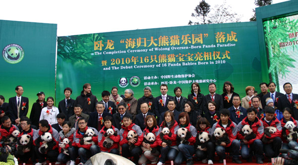 Returned pandas from abroad move into new homes