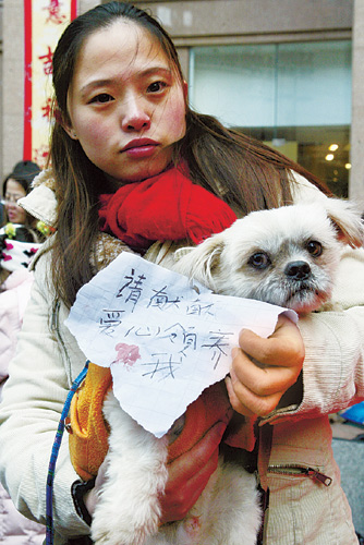 Stray dogs in Shanghai face lockup