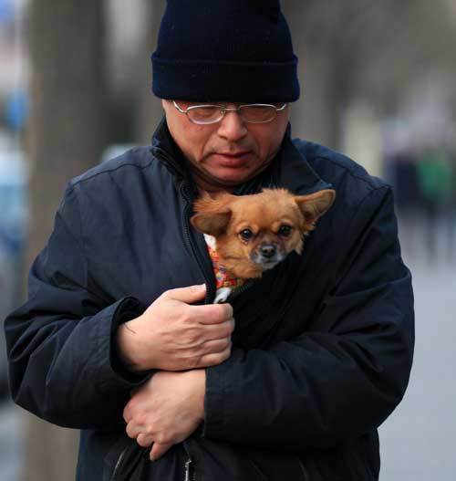 Shelters open doors to homeless in Shanghai
