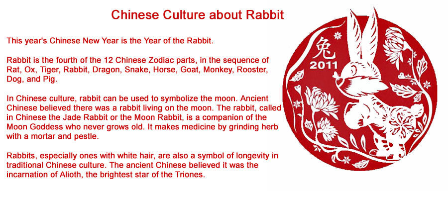 Special: All about the Year of the Rabbit