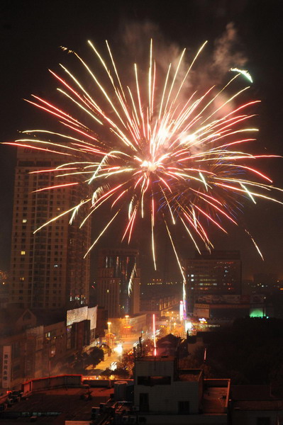 Fireworks light up sky on Chinese New Year's Eve