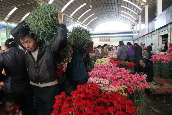 Desire for Valentine's roses pushing up prices
