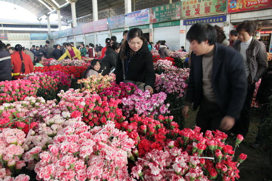 Desire for Valentine's roses pushing up prices