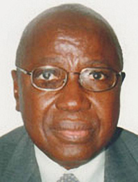 Nigerian Ambassador: Chinese investment in Nigeria on the rise