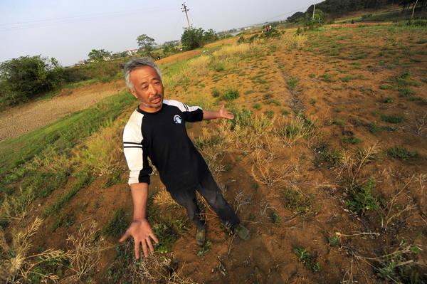 Lingering drought threatens harvest across C China