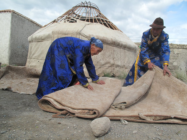 Couple finds greener pastures in town