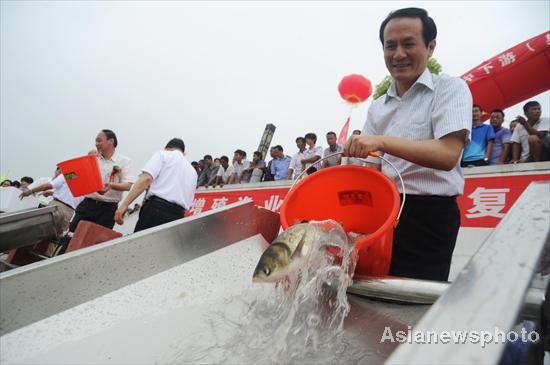 China releases over 1b fish into Yangtze River