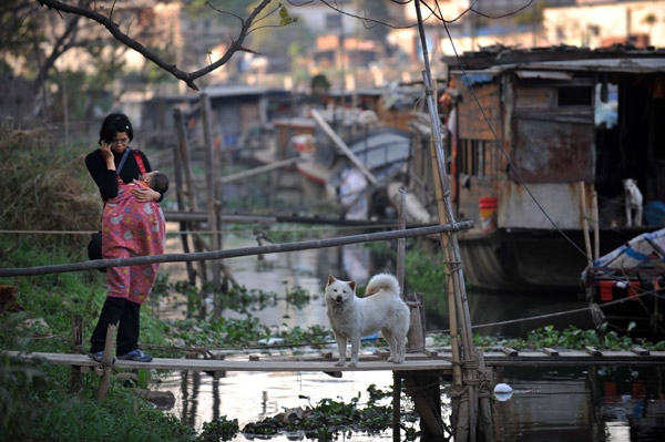 City bans residents keeping dogs in urban area