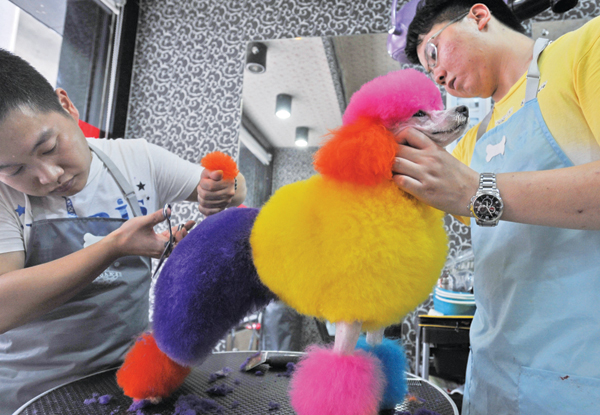 Pet trade's four Ps: prim, proper, profitable pampering