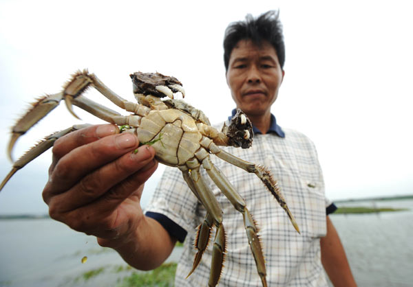 Hairy crabs get reprieve from reunion dinners