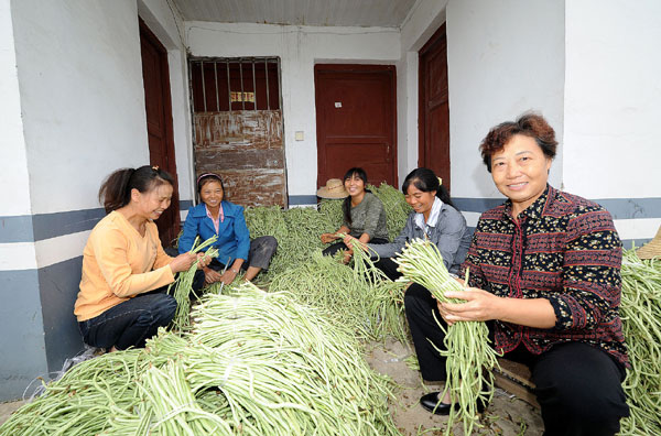 Rural women’s lives enriched by co-ops
