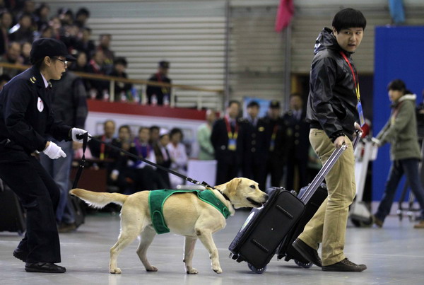 Dogs finally get their day