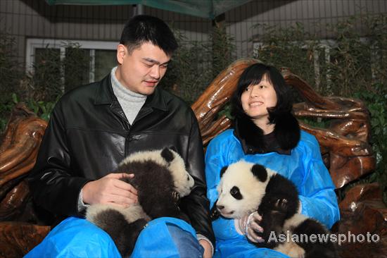 6 captive-bred pandas released into wild