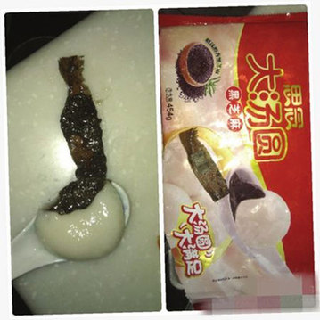 Weibo user finds band-aid filling in <EM>tangyuan</EM>